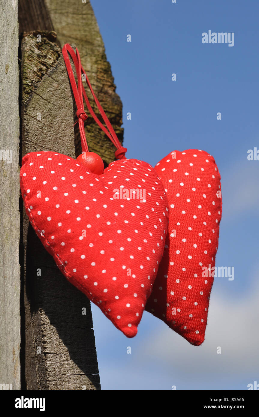 hearts love in love fell in love heart red two blue symbolic wood trunk dots Stock Photo