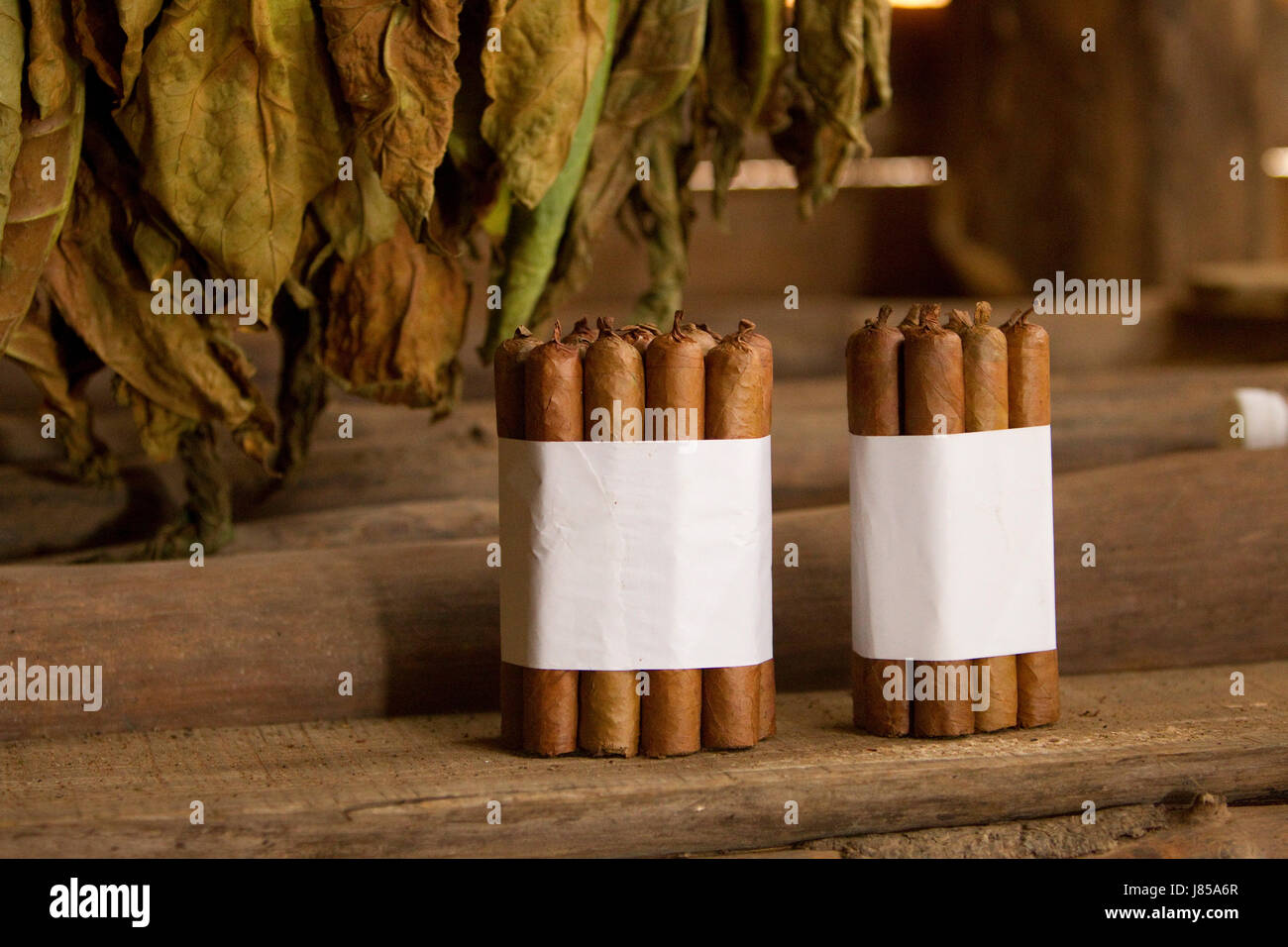 cigarette smoke smell in nose Smelling burnt toast, smoke or something strange when nothing's there? It  could be phantosmia — a condition that causes “phantom smells.” Here's what  you need to know from our Dr. Ehab Hanna. #