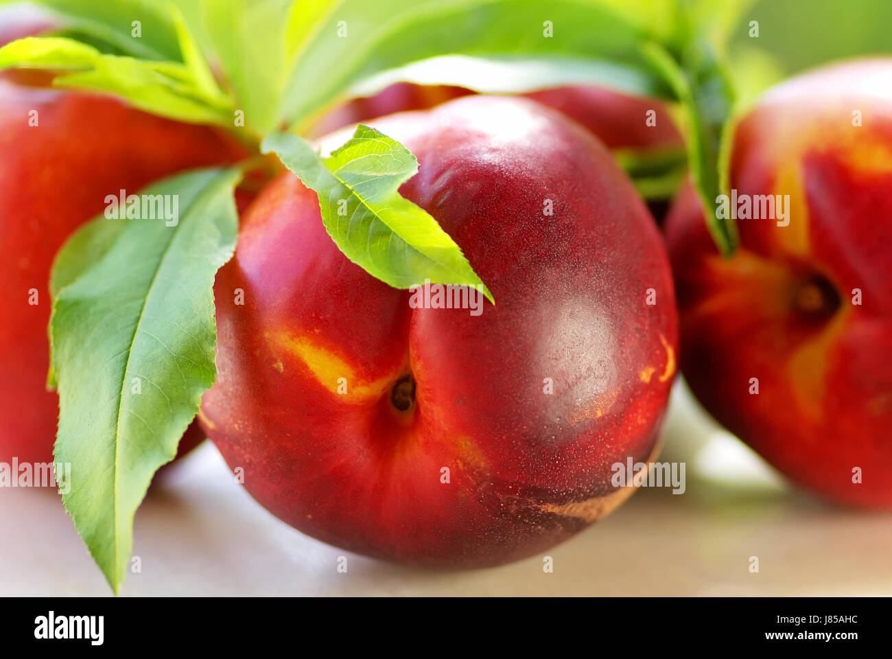 leaves fruit vegetarian peach eating eat eats snack red foliage orange food Stock Photo