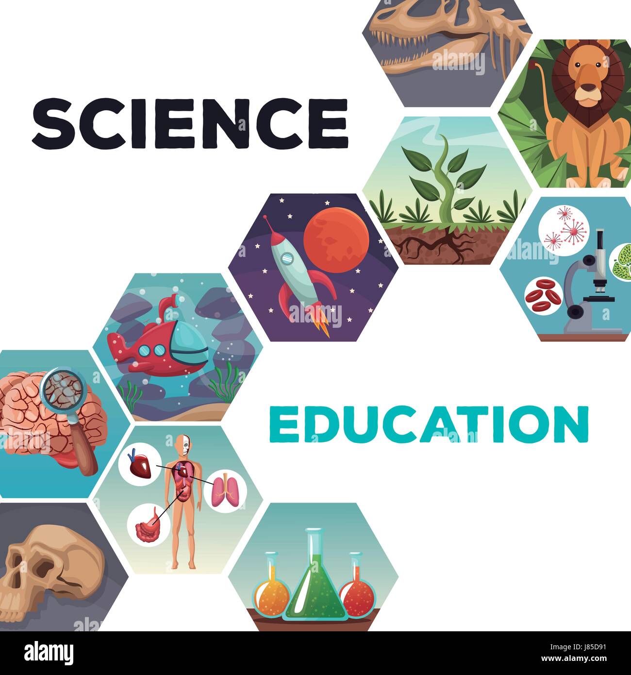 cover page science and education with icons world evolution Stock Vector