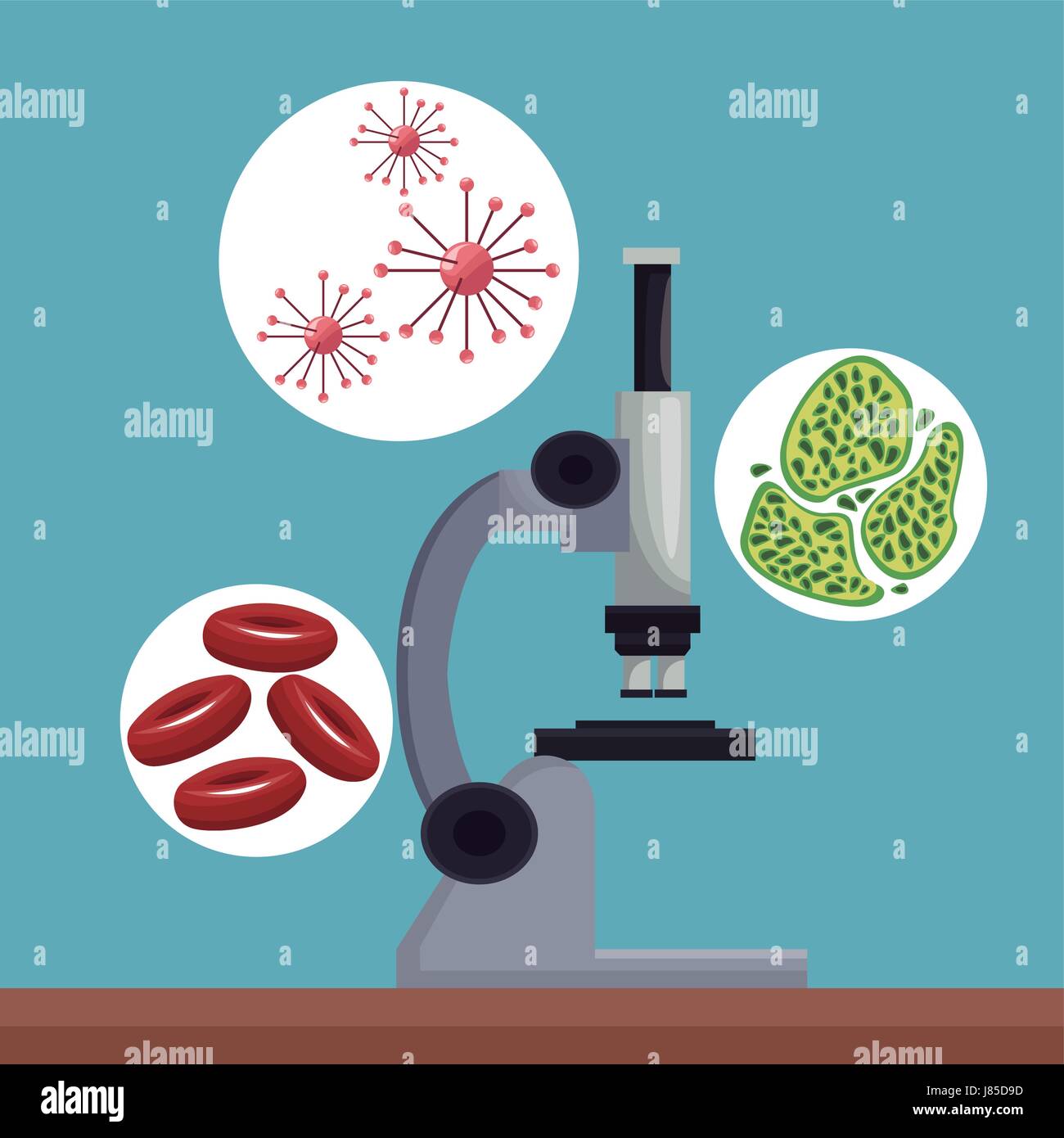 realistic color poster microscope with icons of globules and cells Stock Vector