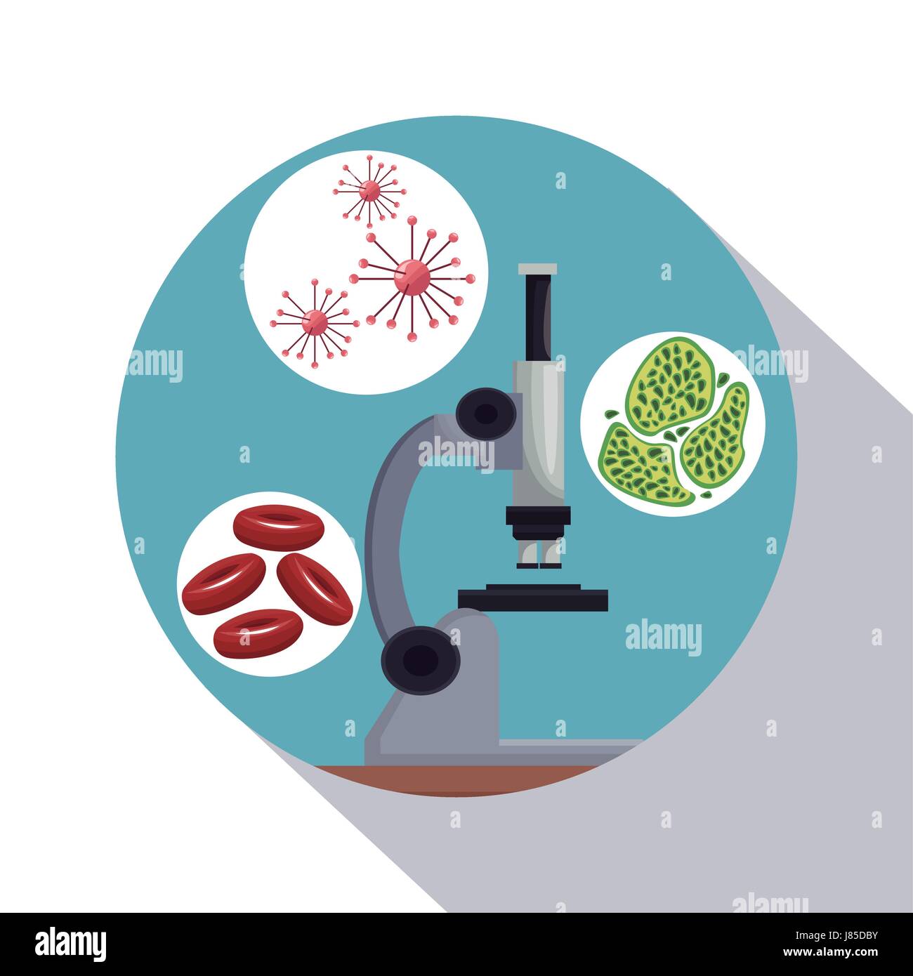 circular frame shading of poster closeup microscope with icons of globules and cells Stock Vector