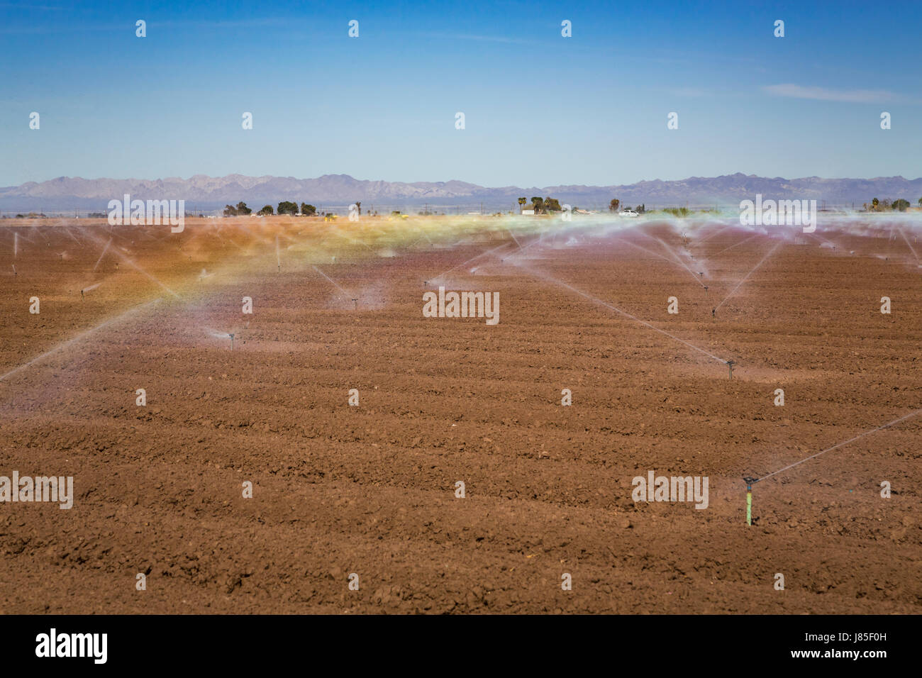 Field irrigation in the Imperial Valley of California, USA. Stock Photo