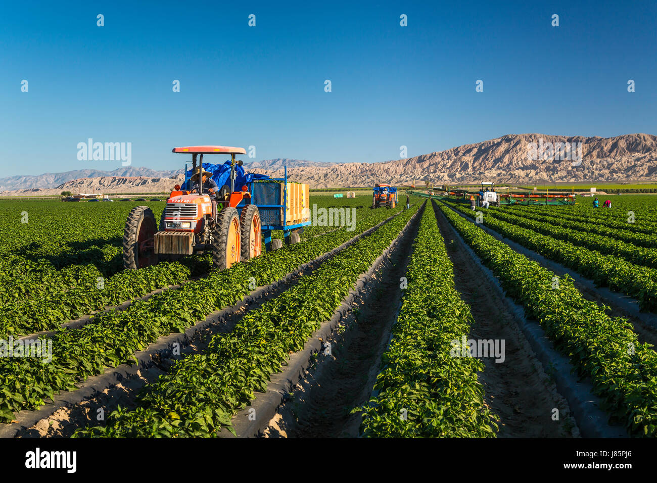 Imperial valley farm hires stock photography and images Alamy