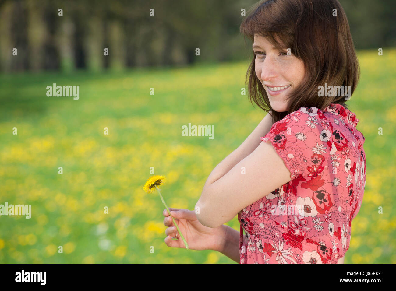 woman portrait spring flower meadow young younger meadow girl girls woman laugh Stock Photo