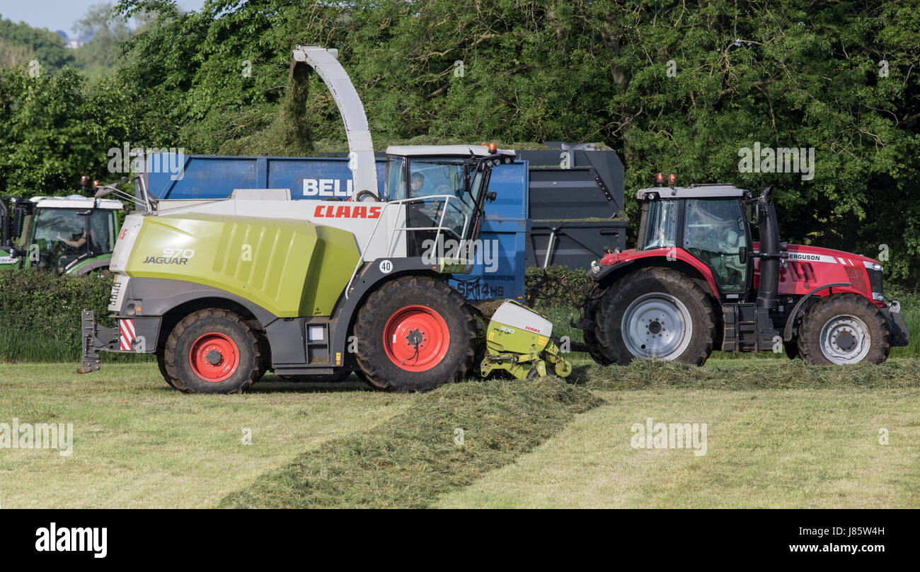 TOCKENHAM, UK - MAY 24, 2017: Claas Jaguar Forage harvester, picking up grass and putting in a trailer for it to be taken to make silage Stock Photo