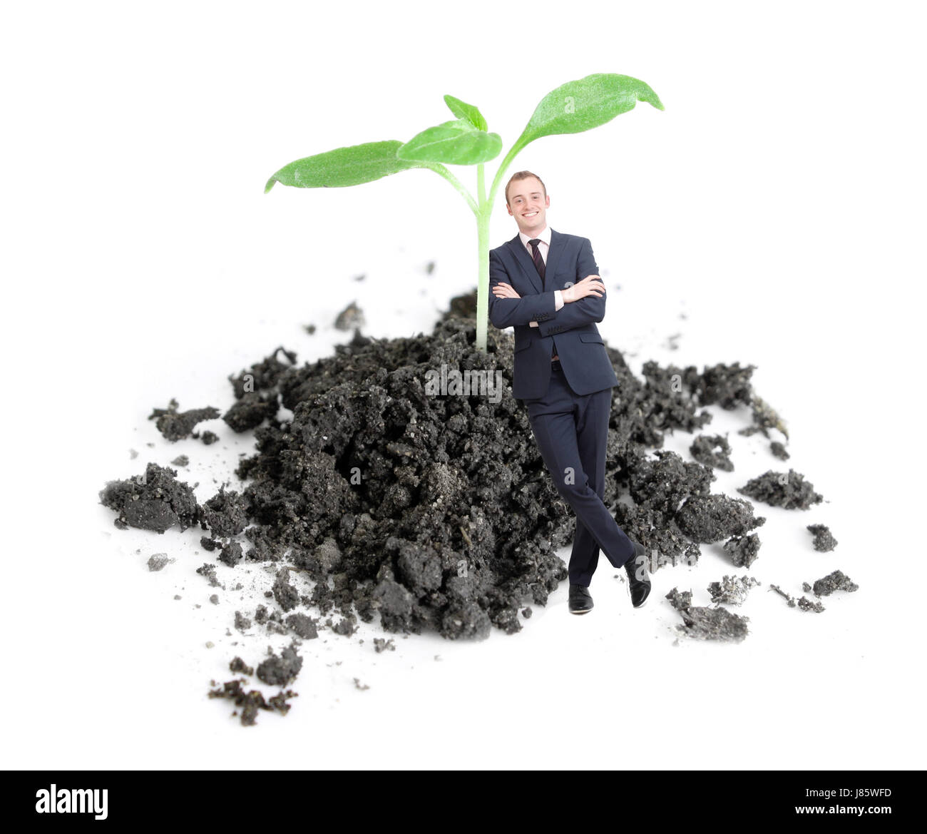 leaf environment enviroment isolated born model design project concept plan Stock Photo