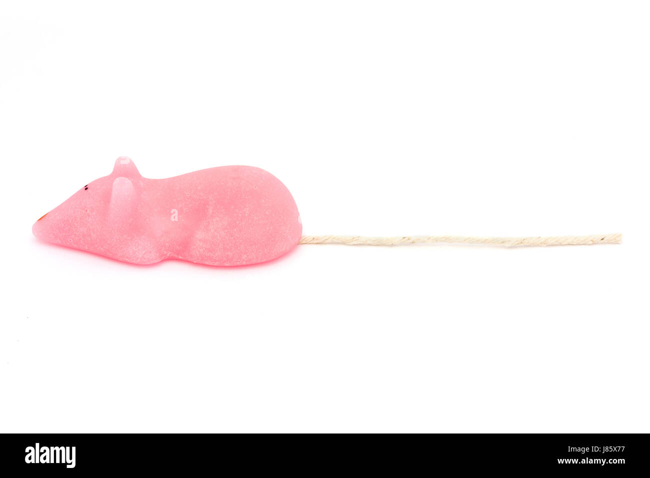 sweets isolated sugar candy mice pink food aliment sweet isolated