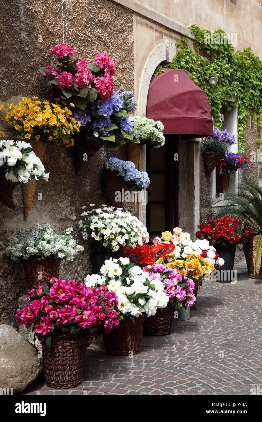 flower flowers plant flower arrangements bouquets shops flower shop