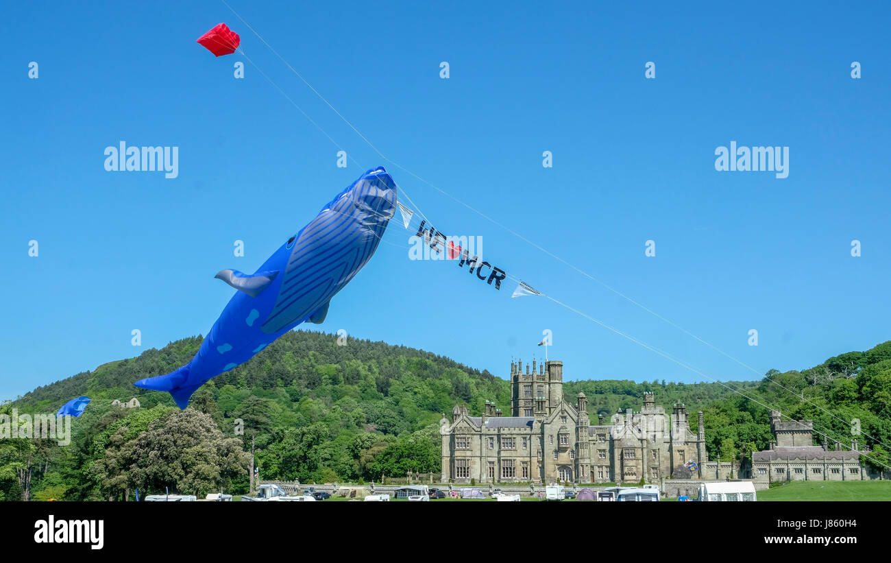 kite flying at Margam Park Stock Photo