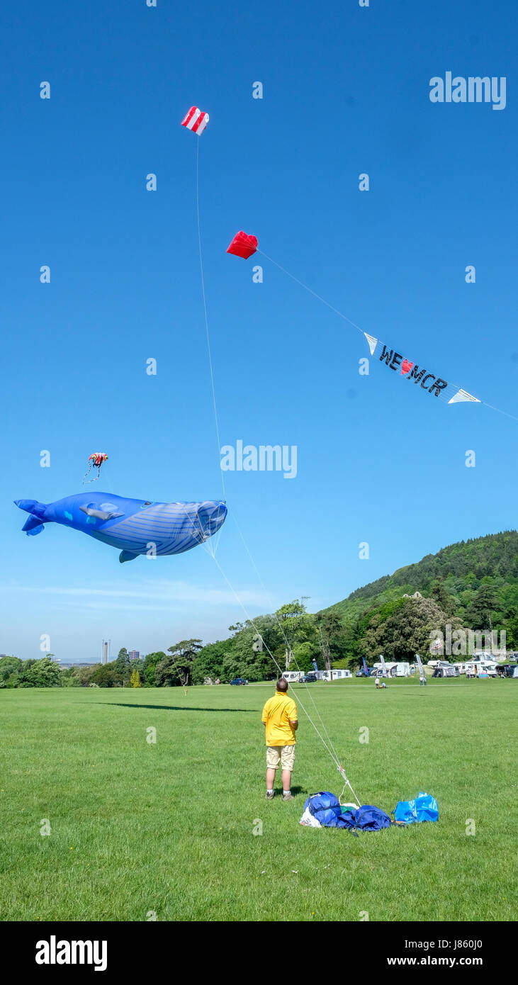 kite flying at Margam Park Stock Photo