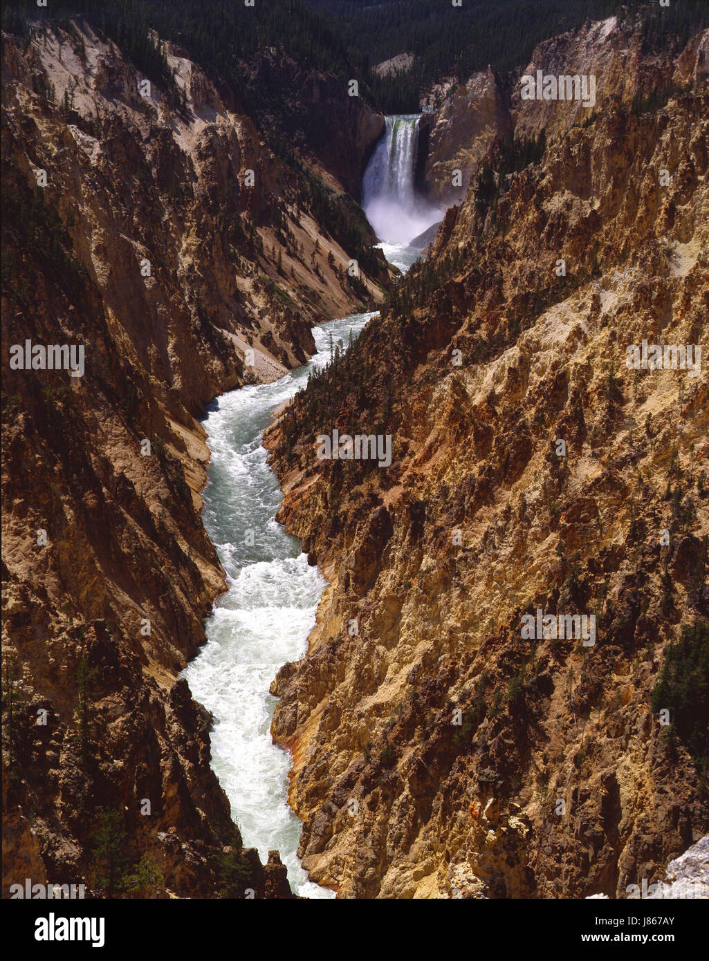 usa,waterfalls,forest,river,water,nature,wyoming,yellowstone,white water Stock Photo