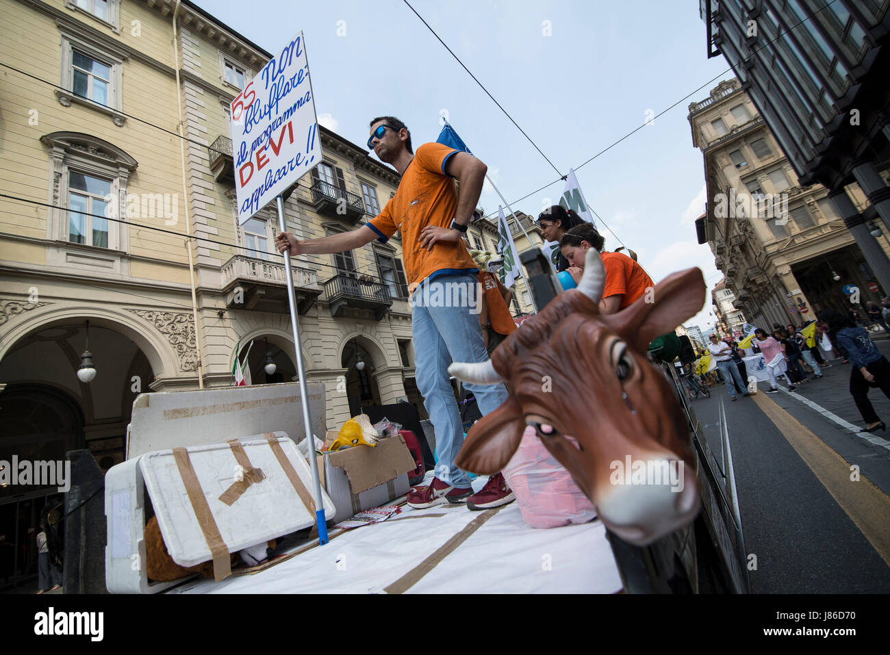 Animalisti hires stock photography and images Alamy