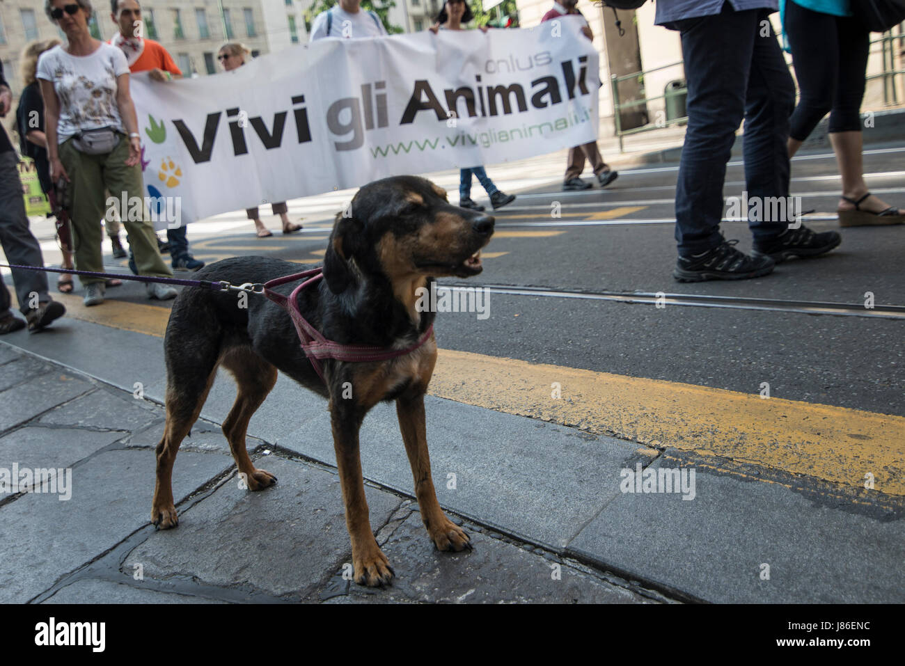 Zoo licence hires stock photography and images Alamy