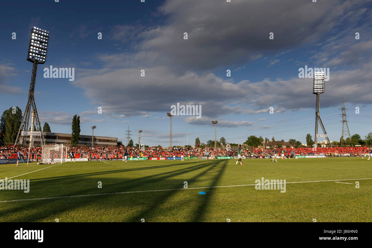 Budapest, Hungary. 27th May, 2017. The teams warm up on the pitch prior to the Hungarian OTP Bank Liga match between Budapest Honved and Videoton FC at Bozsik Stadium on May 27, 2017 in Budapest, Hungary. Credit: Laszlo Szirtesi/Alamy Live News Stock Photo