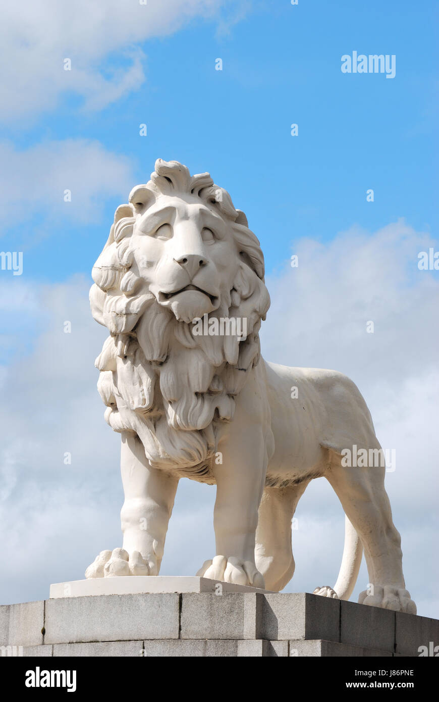 Big City Lion Big City Lion