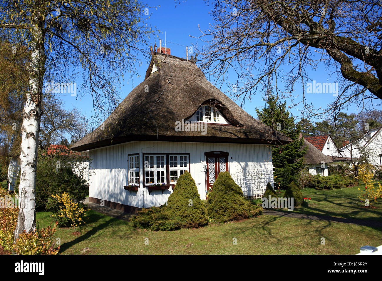traditional reed house Stock Photo Alamy