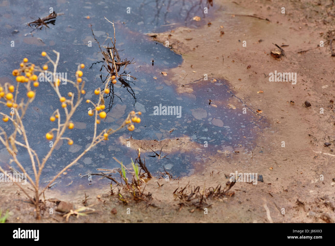 dirty oily water Stock Photo Alamy