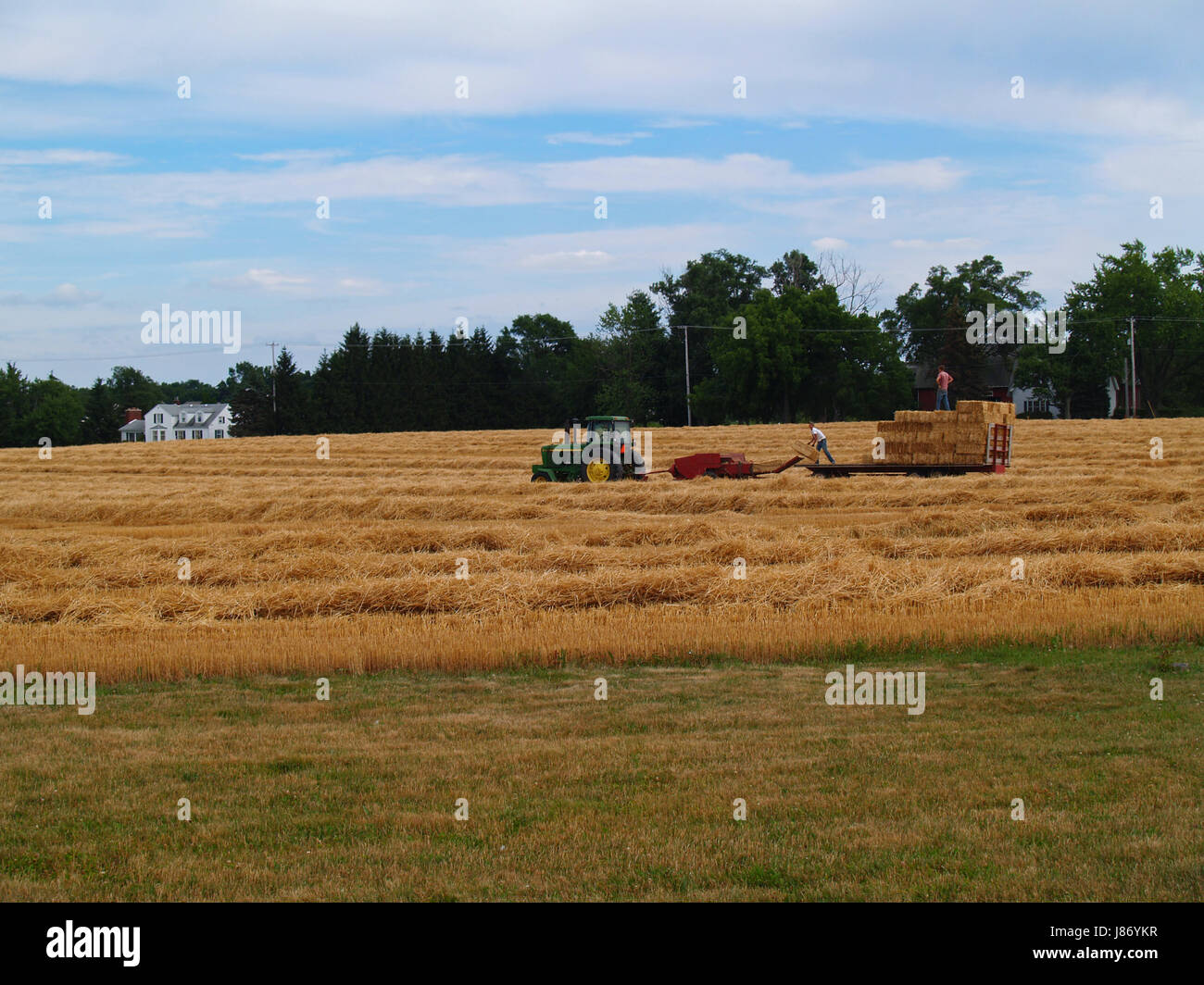 agriculture, farming, field, wheat, farm, straw, house, building, agricultural, Stock Photo