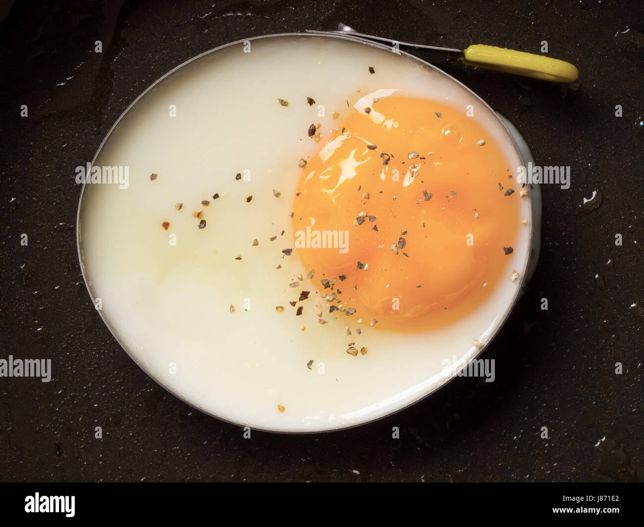 egg, cholesterol, chicken, fried, cooked, protein, food, breakfeast