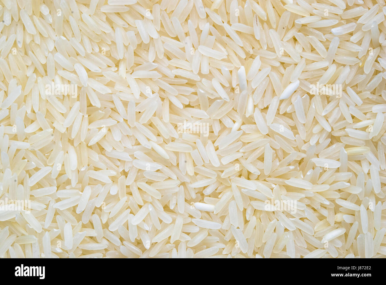 rice texture on white background Stock Photo - Alamy