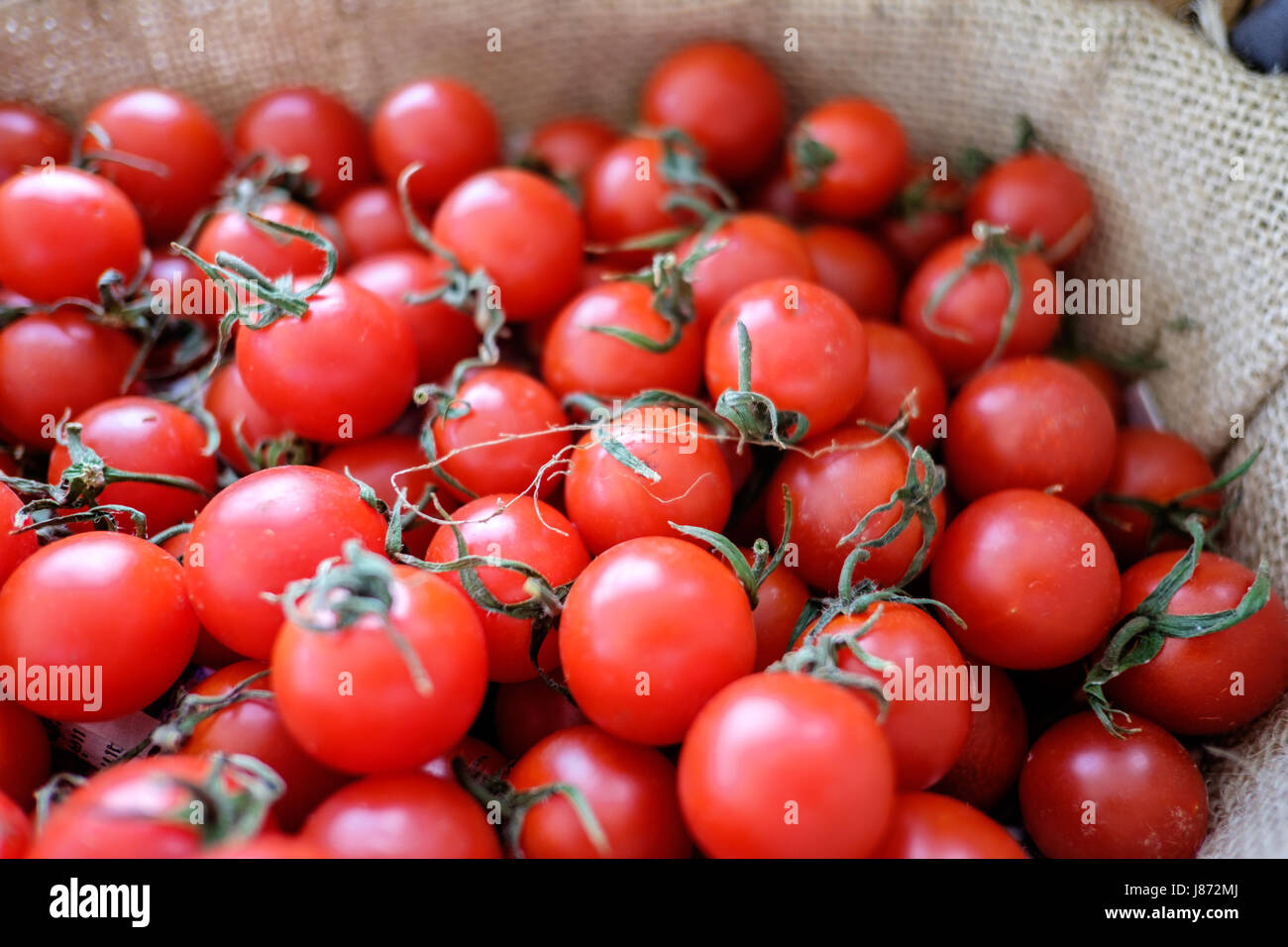 Piles of fresh and juicy Tomatoes in weave basket Stock Photo - Alamy