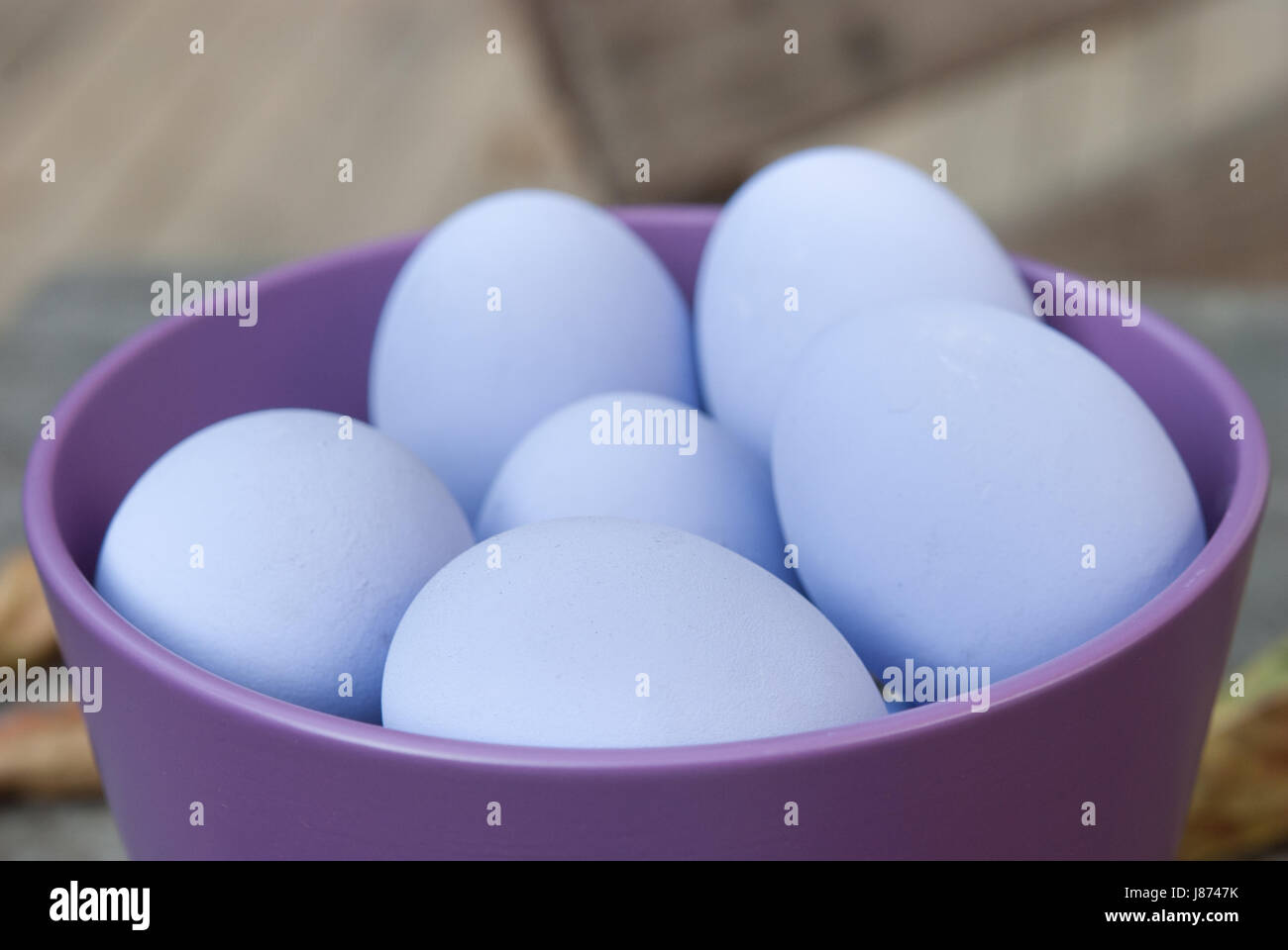 Purple eggs in purple bowl Stock Photo Alamy