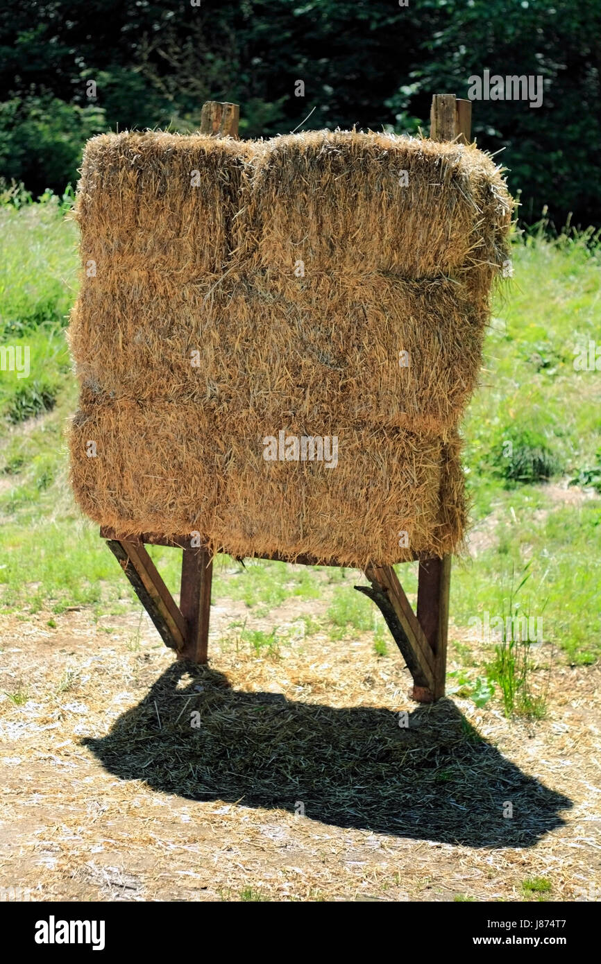 one, hay, backing, backstop, bundle, archery, straw, sport, sports