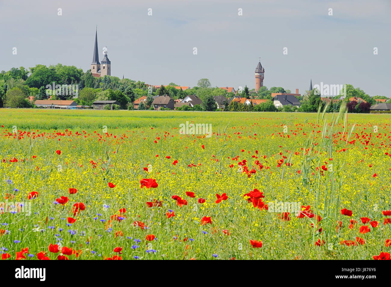 city town field spring place land realty ground chateau castle tower church Stock Photo
