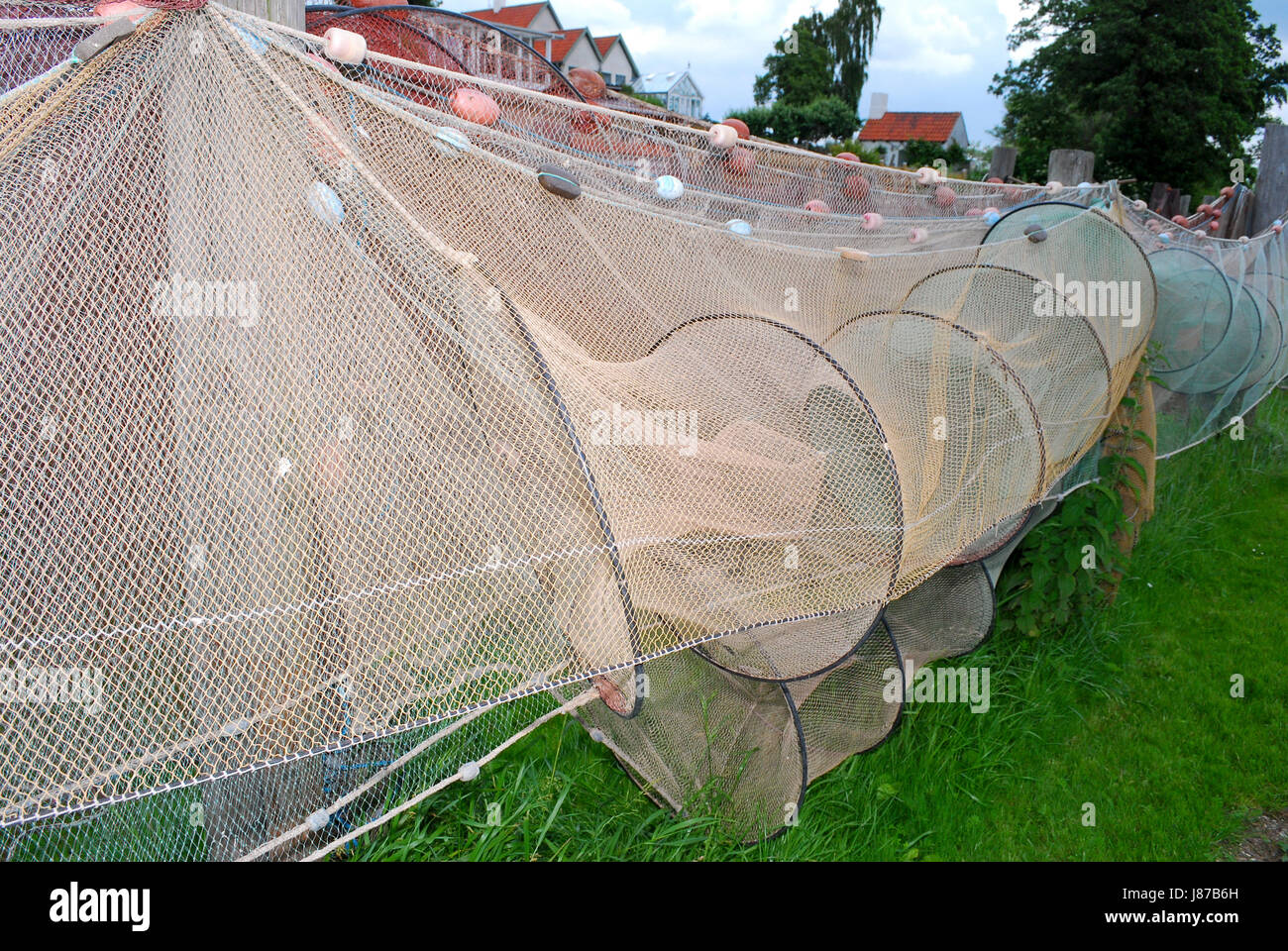 fish, catch, fishing net, hoop, fish, net, fishing, boat, nautical