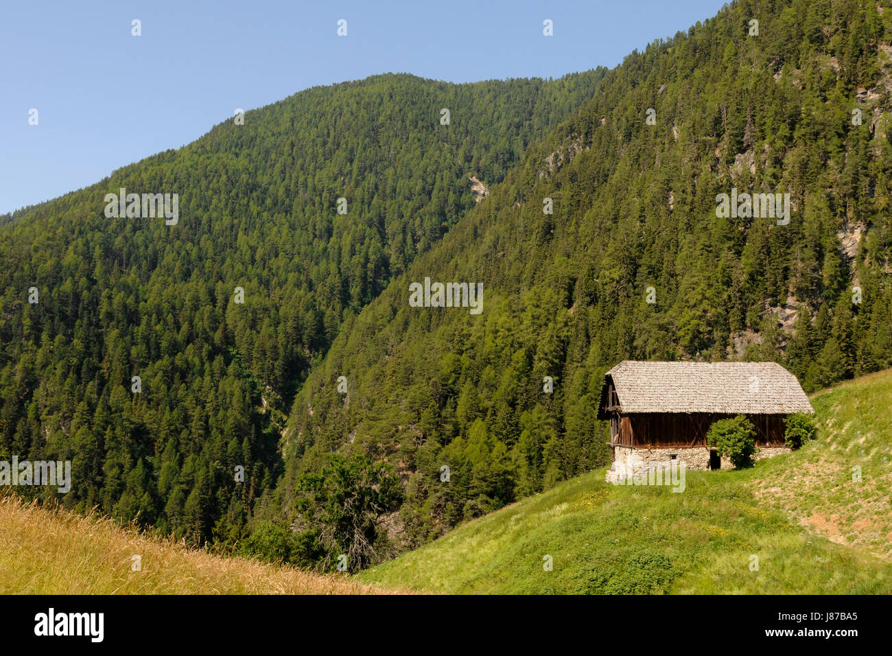 mountains, green, hike, go hiking, ramble, south tyrol, yard, meadow, Stock Photo