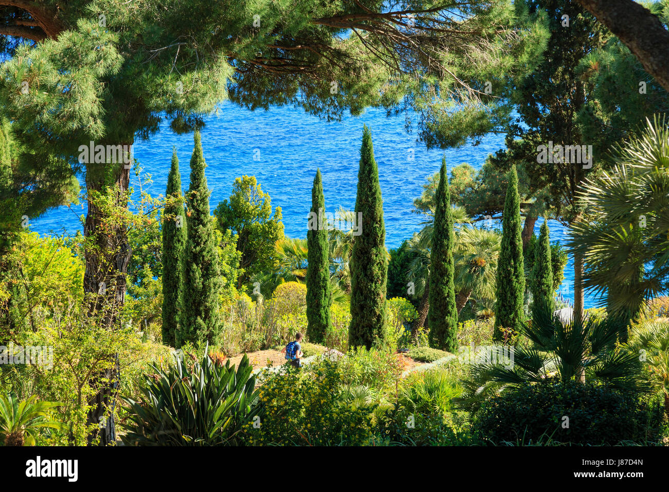 Spain, Catalonia, Costa Brava, Blanes, Marimurtra Botanical Garden, Path between cypress of Italy, pines and Mediterranean vegetation Stock Photo