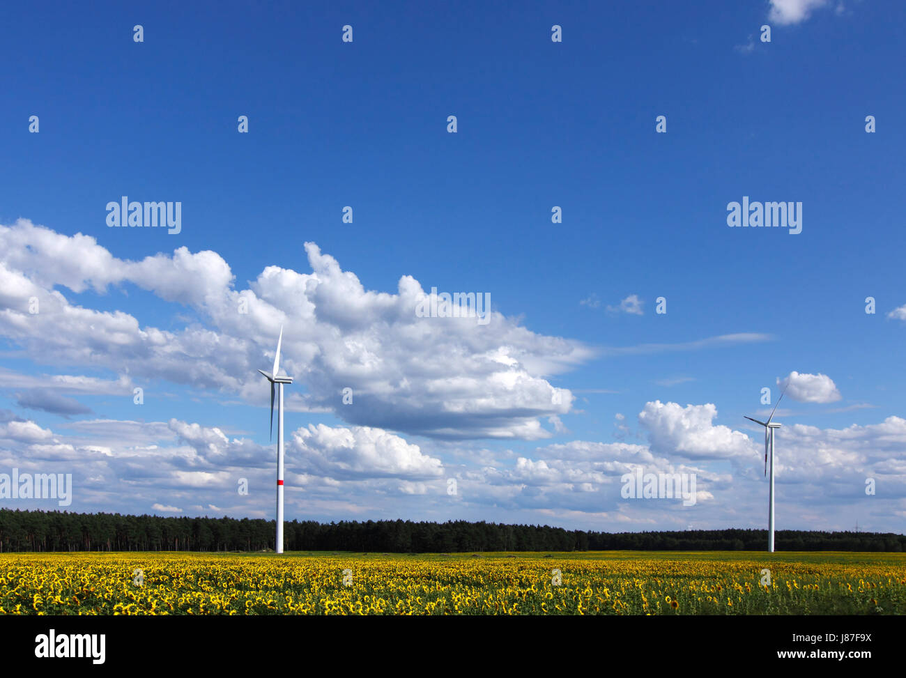 renewable energy Stock Photo