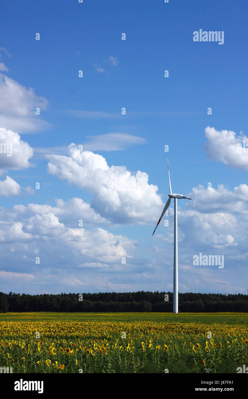 energy, power, electricity, electric power, sunflowers, wind power station, Stock Photo