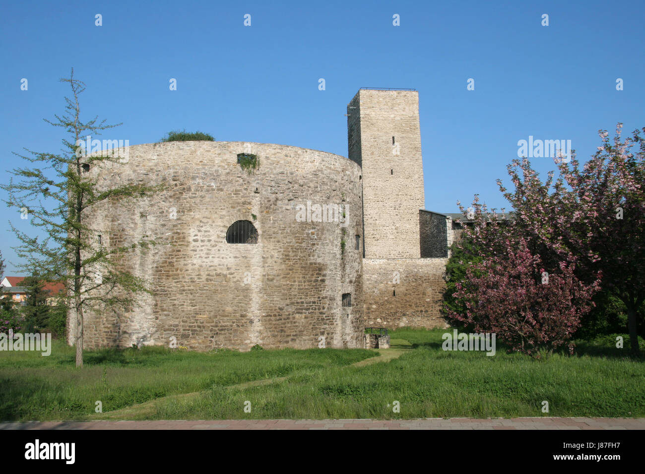 wall, city wall, mining, tower, tree, trees, stone, wall, observation, sight, Stock Photo