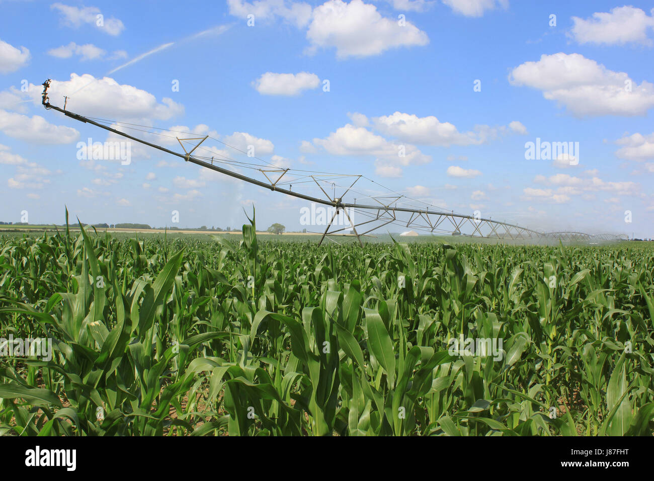 agricultural, agriculture, farming, farm, farmer, automatic, reel, watering  Stock Photo - Alamy