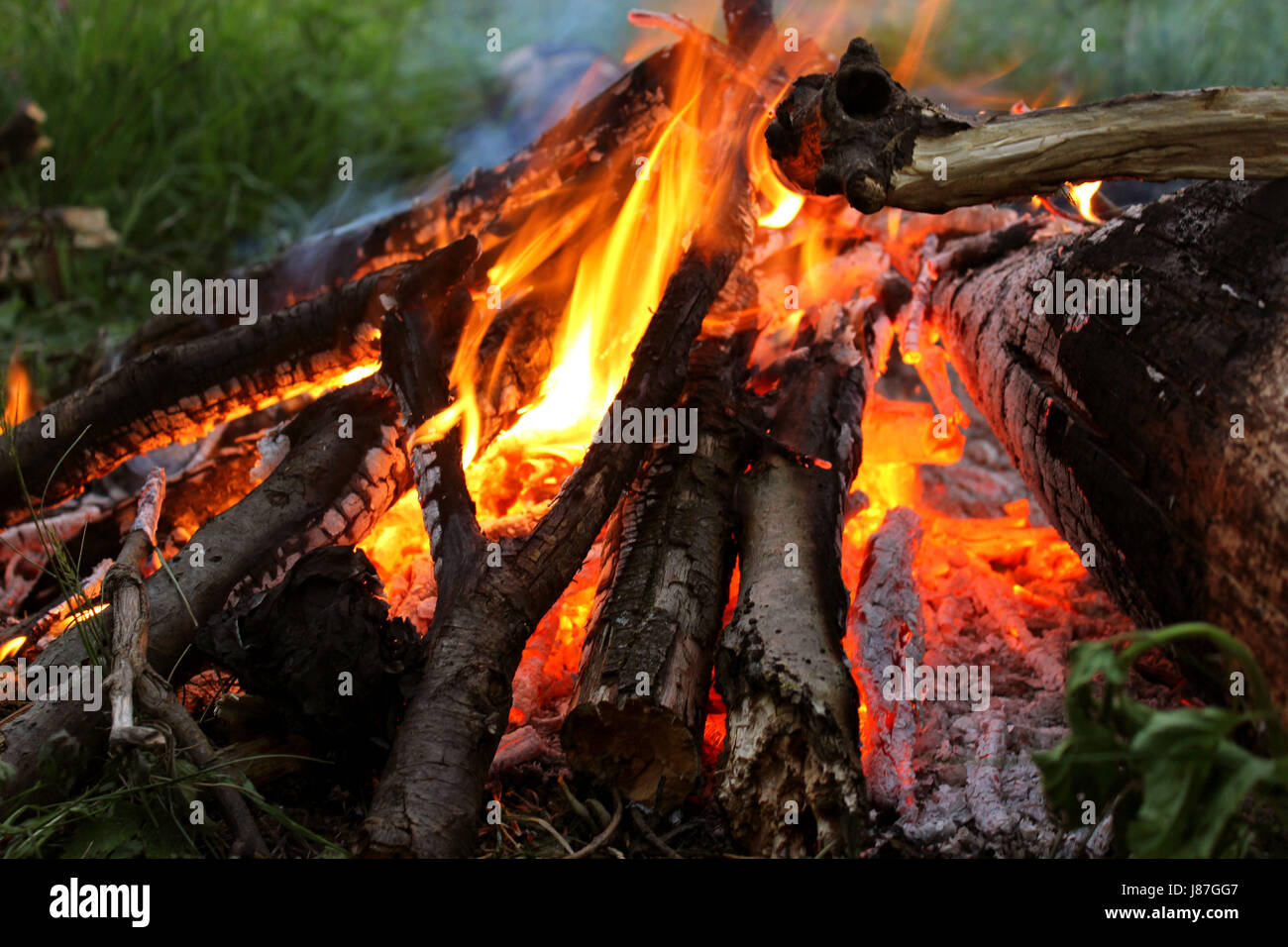 Small campfire Stock Photo