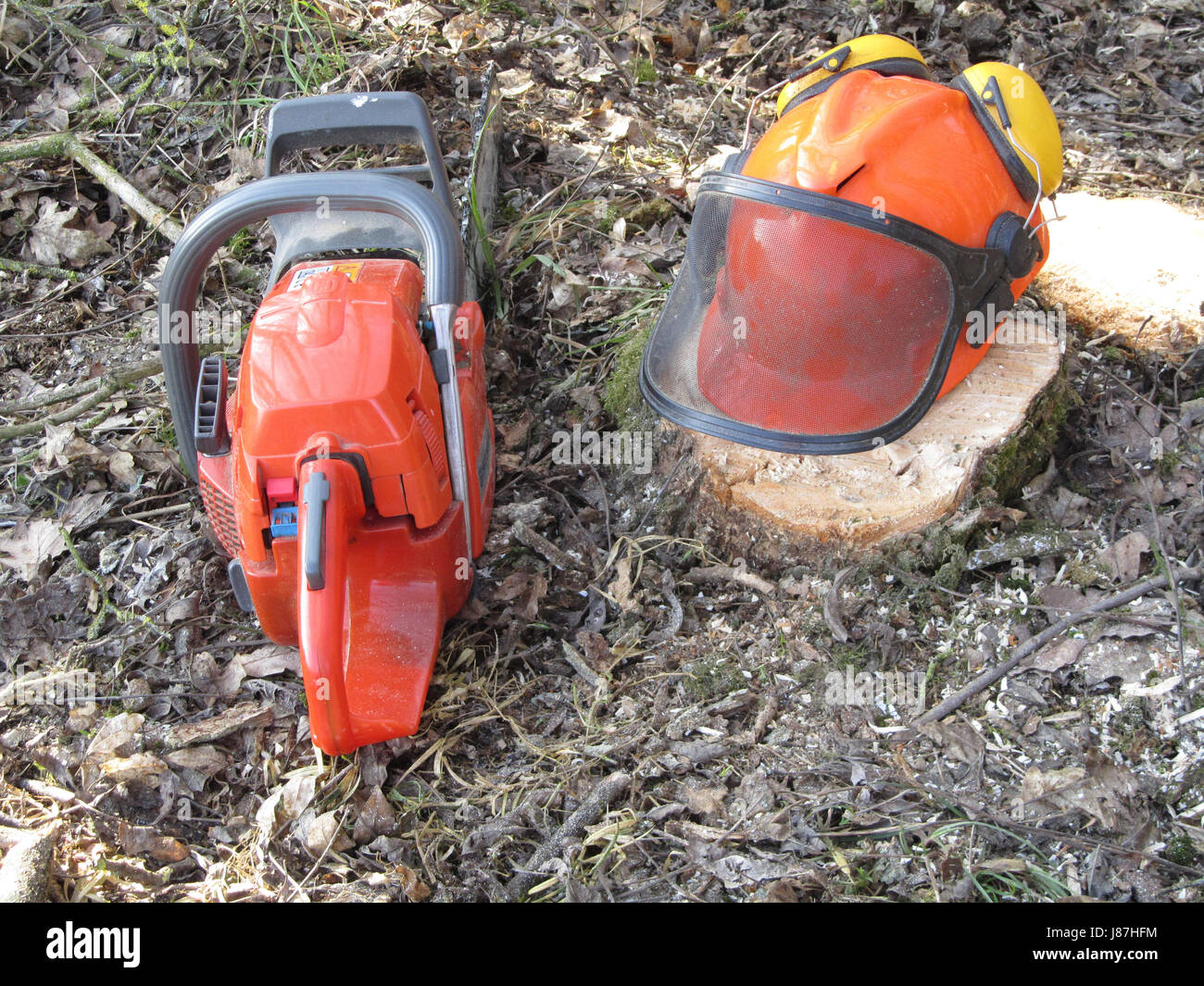 chain saw, industrial safety, din, security, safety, dangerous, tree, garden, Stock Photo