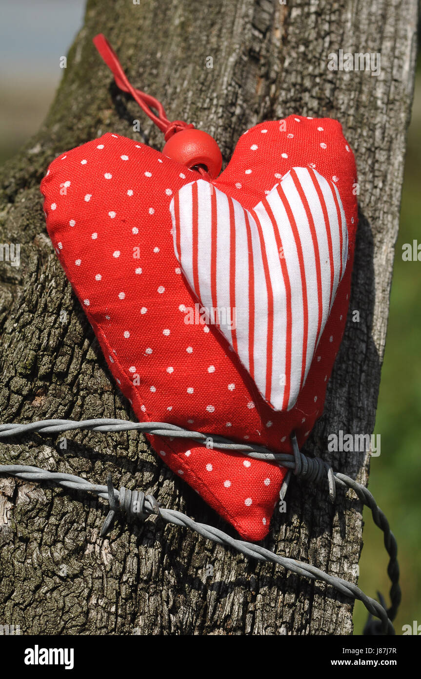 wire, barbed wire, pinioned, love, in love, fell in love, heart, symbolic, Stock Photo