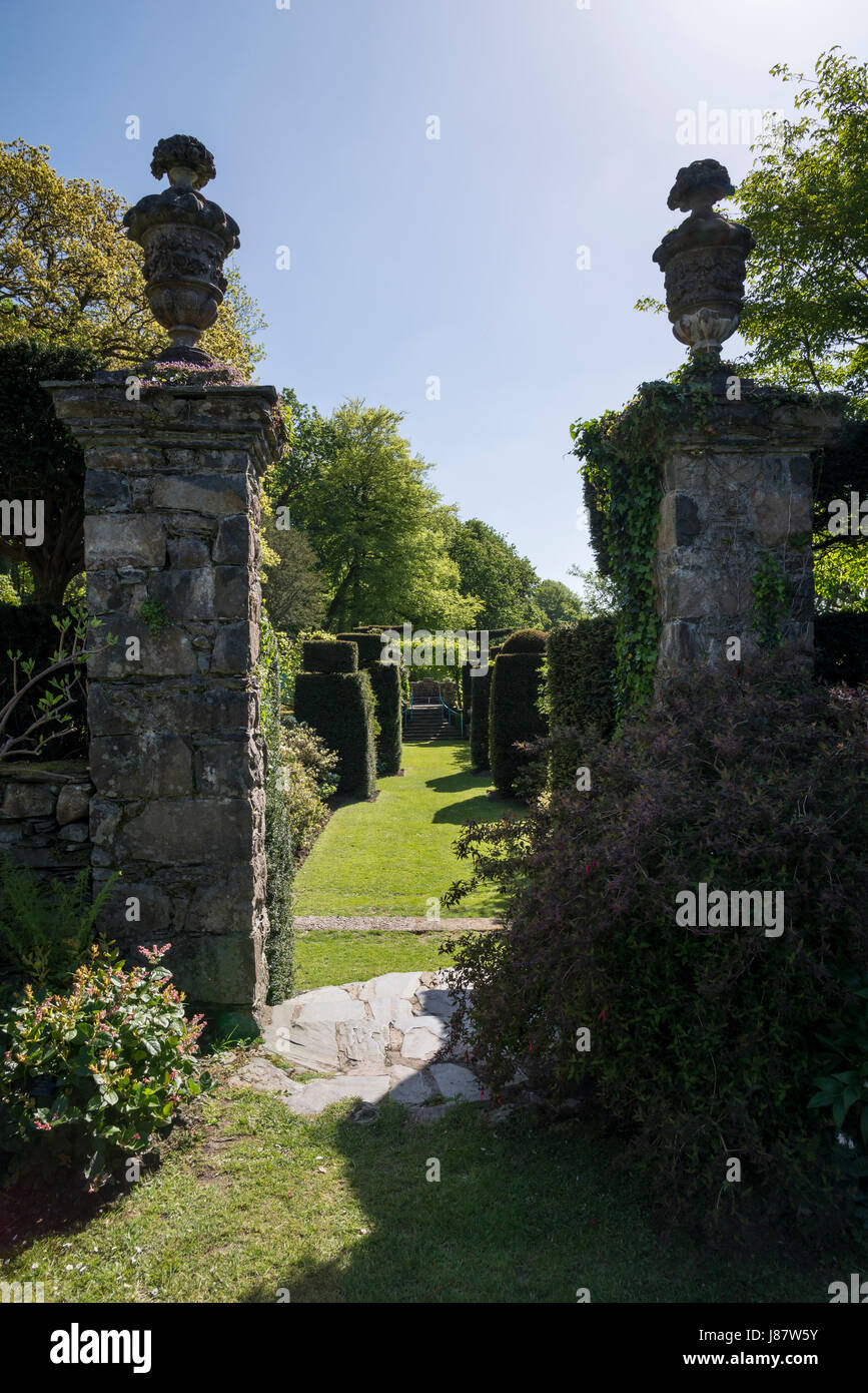 Topiary at Plas Brondanw gardens near Garreg, North Wales. A beautiful