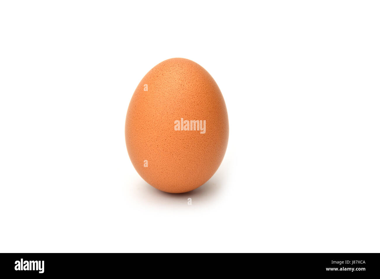 Brown chicken egg isolated on white background Stock Photo - Alamy