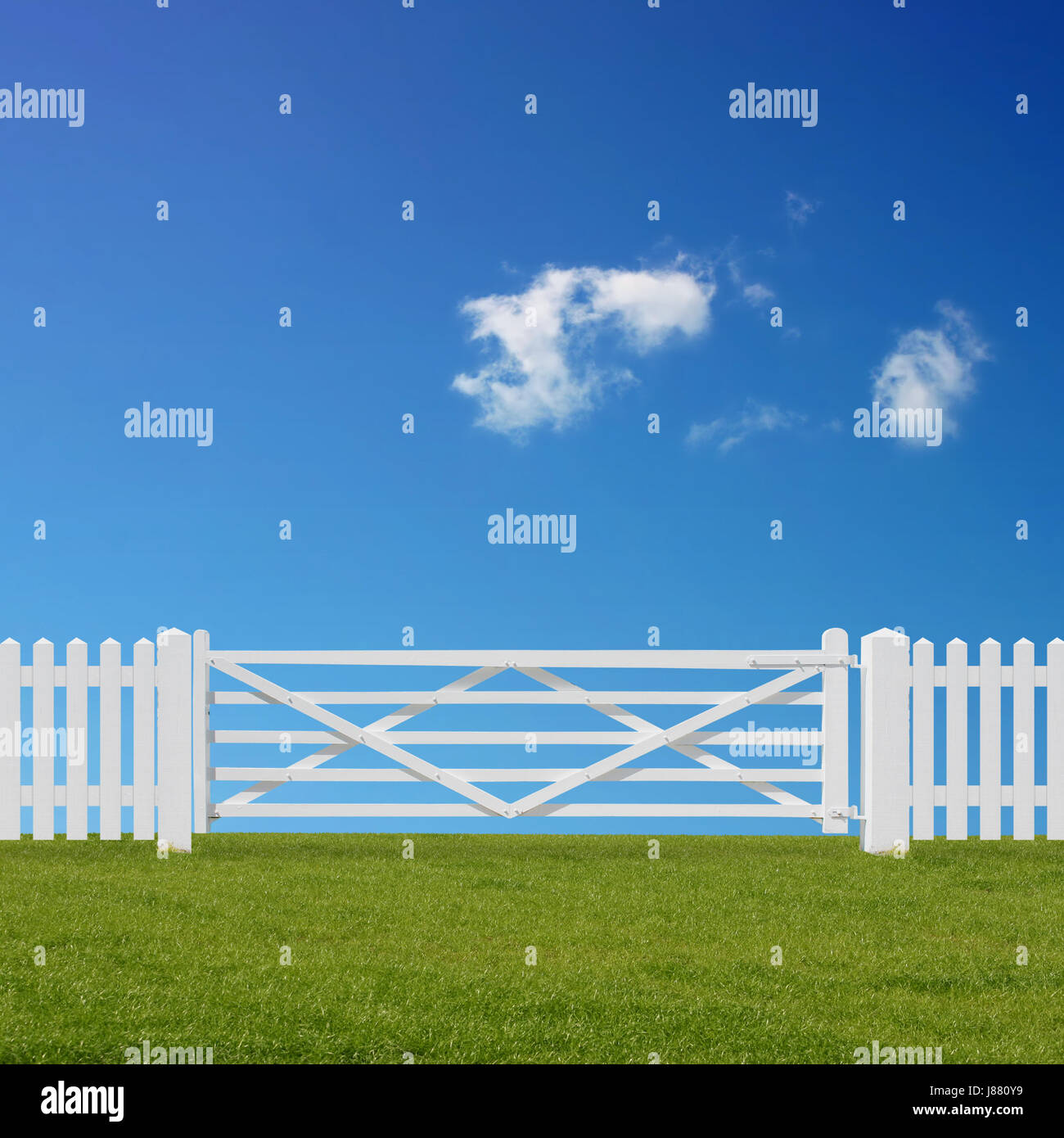 goal, passage, gate, archgway, gantry, fence, horizon, park, field