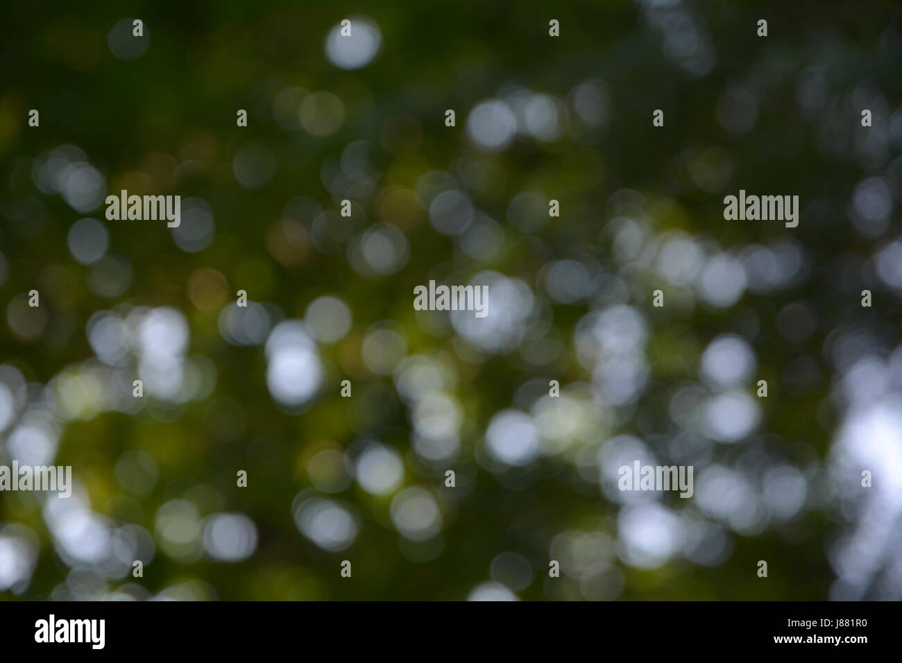 Glitter of lights hi-res stock photography and images - Alamy