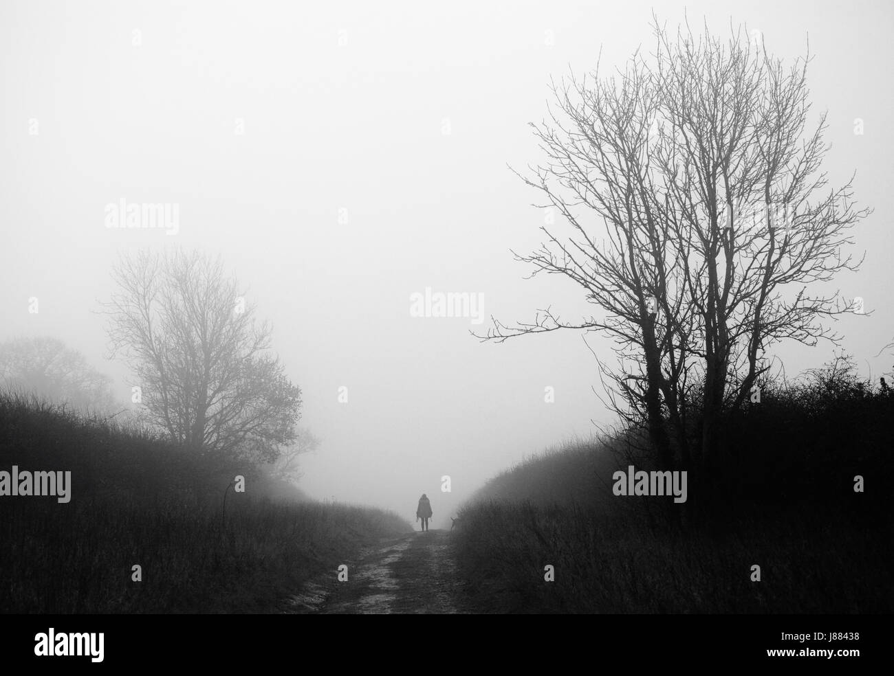 Woman walking along the Peddar's Way path in thick fog. Stock Photo