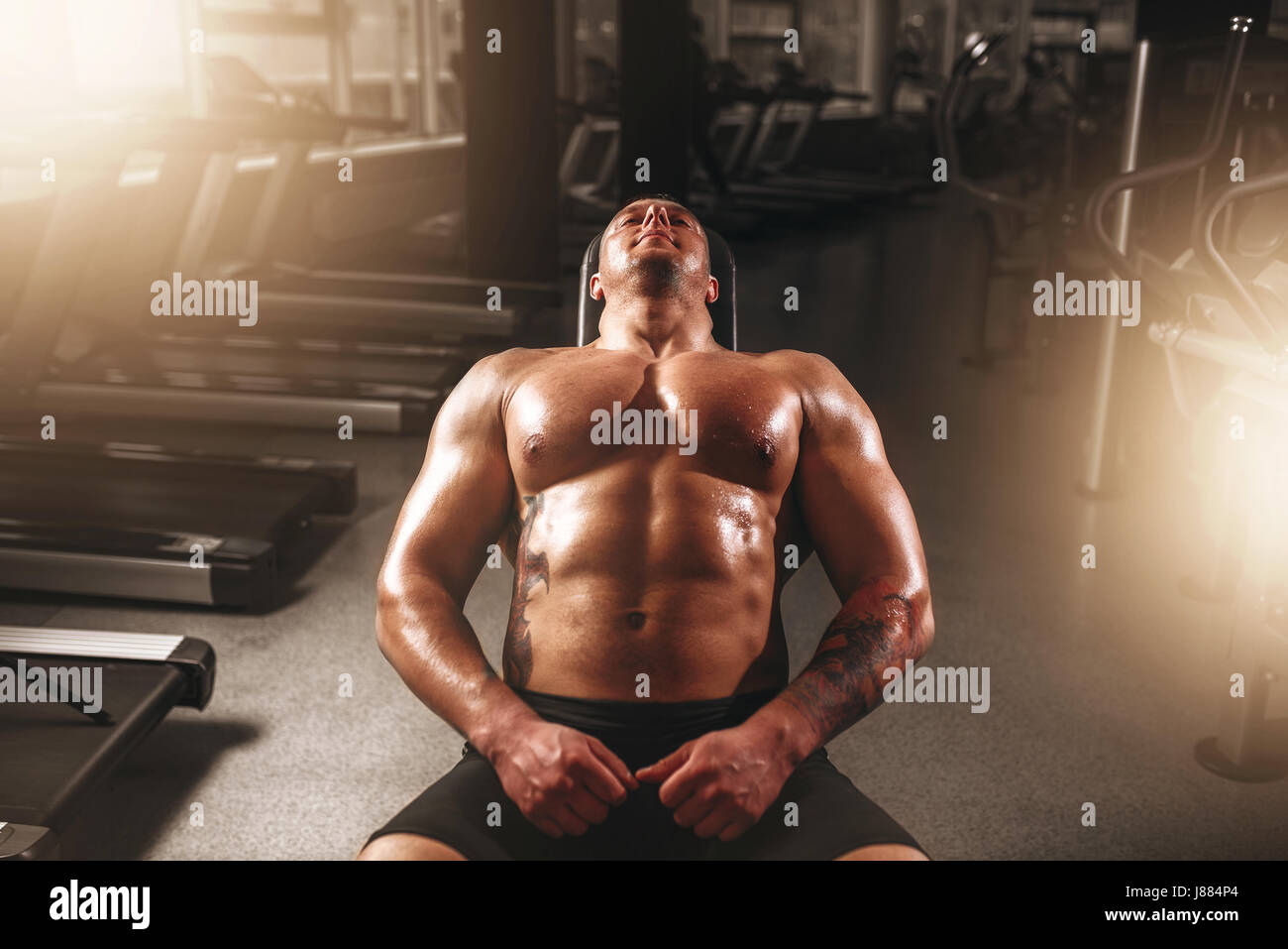 Bodybuilder Training Muscular male bodybuilder training with dumbbells in sport gym ...
