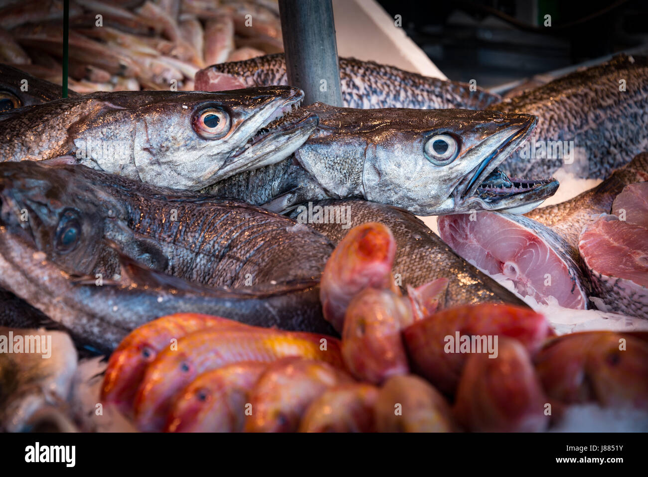 Fish on sale, Sunday market, La Bastille, Paris, France Stock Photo - Alamy