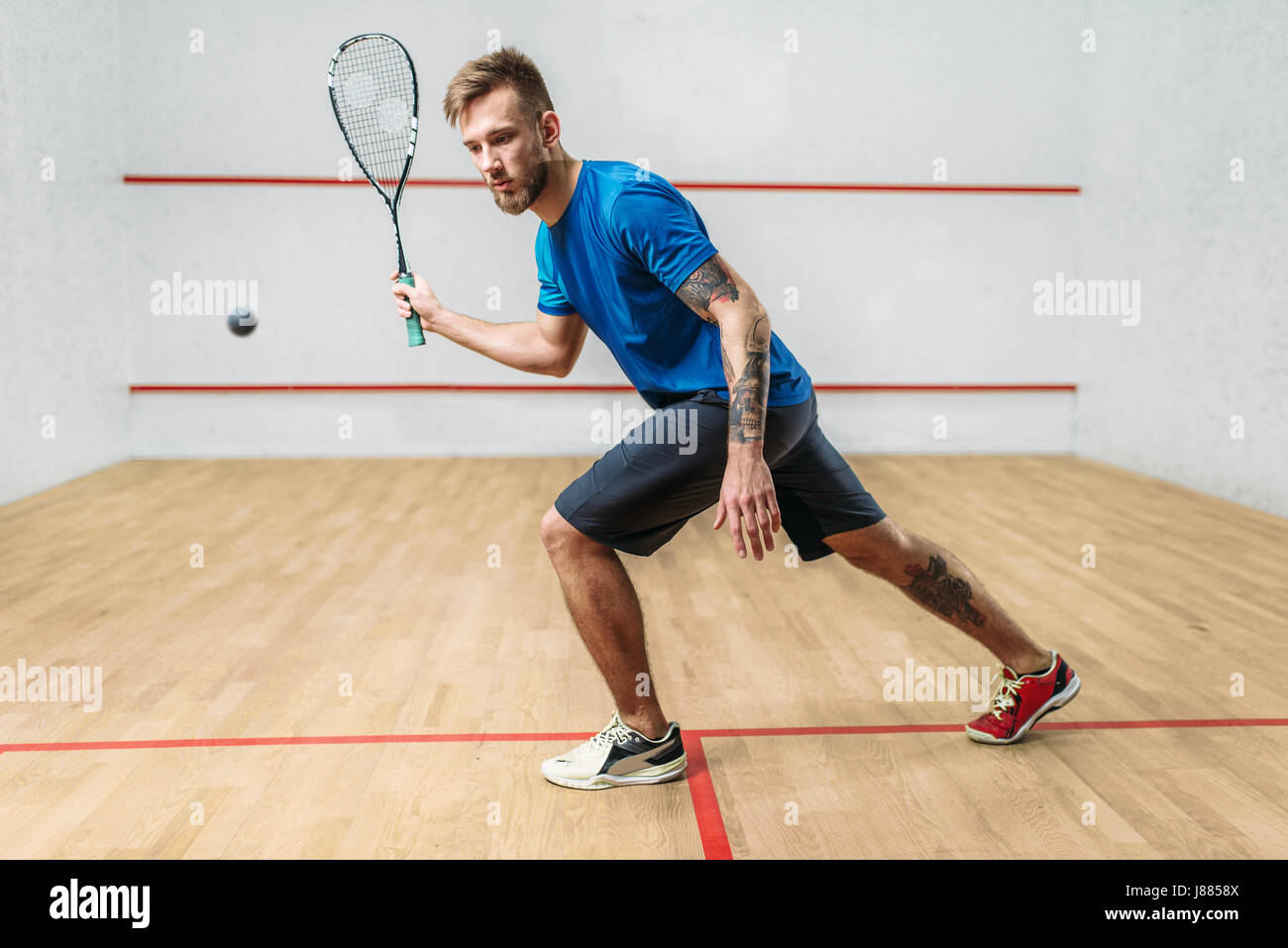 Squash game hi-res stock photography and images - Alamy