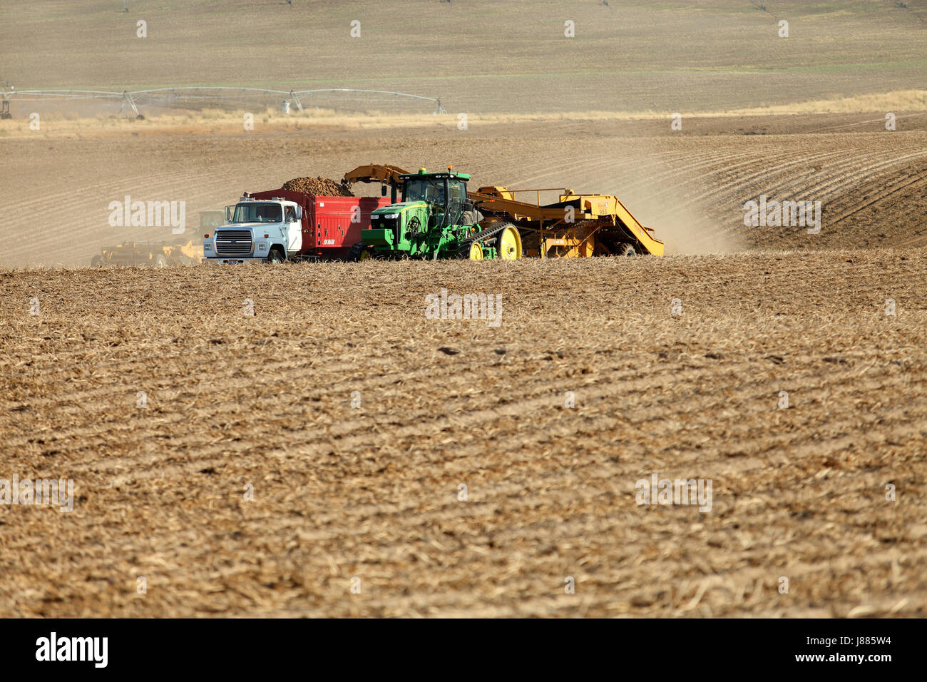 Farmers and field hands use machinery in Idaho farm fields harvesting potatoes. The potatoes are dug and placed gently in a truck for transport Stock Photo