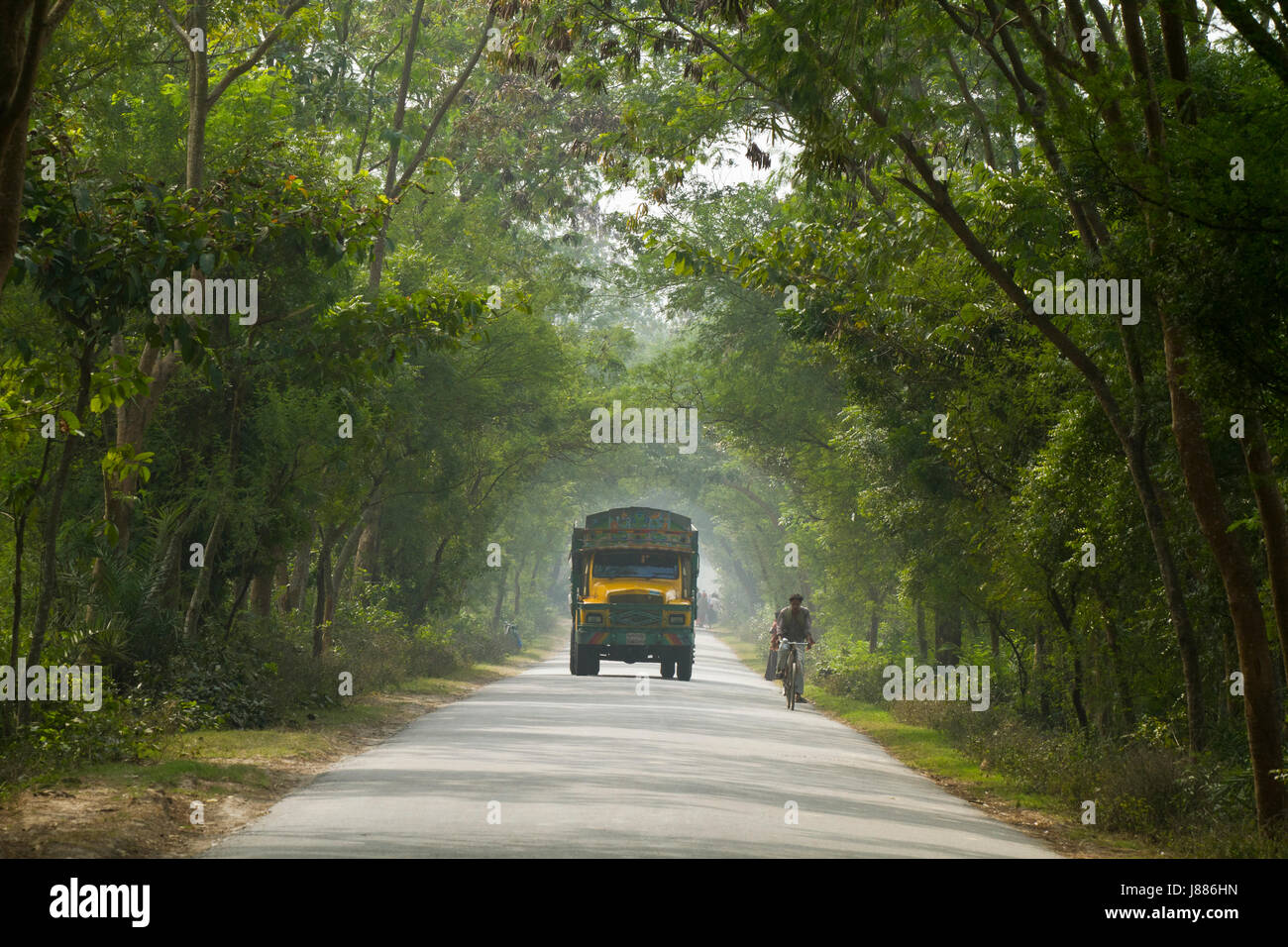Kushtia-Meherpur highway. Meherpur, Bangladesh Stock Photo
