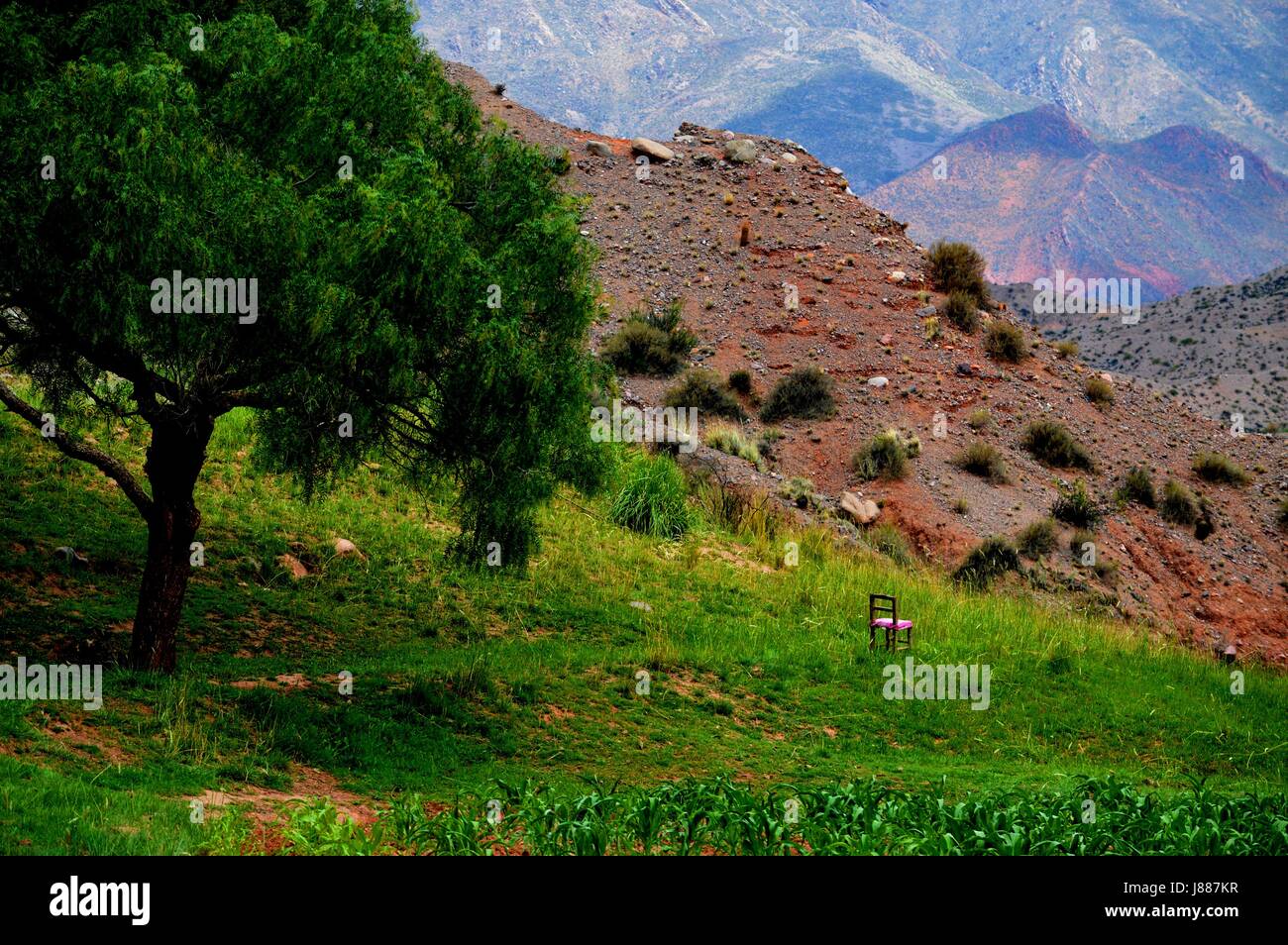 Colorful landscape that invites to the contemplation and the rest in ...